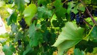 img_20160911_134712